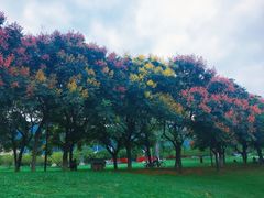 -星湖旅游景区七星岩