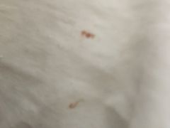 床单-南阳龙潭沟