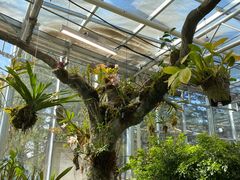 -国家植物园南园