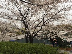 -上海体育场(地铁站)