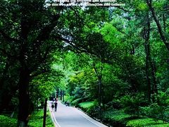 -老山国家森林公园