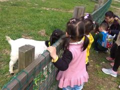 -田园东方蜜桃村的田野营地