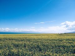 -青海湖国家重点风景名胜区