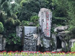 -广州市流溪河国家森林公园