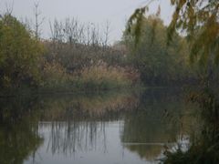 -新江湾城公园