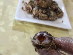 -阳江餐厅·30年老字号·粤菜海鲜大排档
