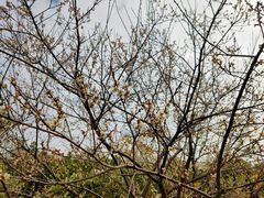 -中国移动南方基地