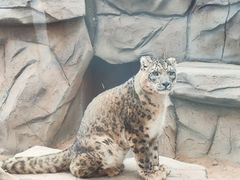 -青藏高原野生动物园