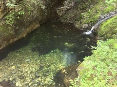 -牛背梁国家森林公园