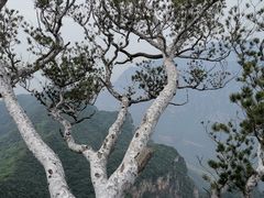-神农山景区