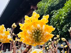 -钱王祠