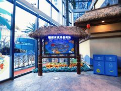 -合肥融创水世界