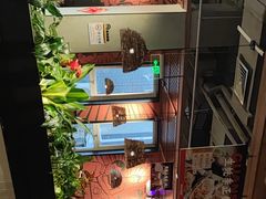 -管氏翅吧(台湾街店)