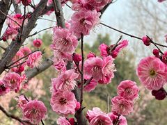 -蜀冈西峰生态公园