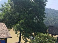-天目溪漂流