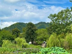 -呈坎景区