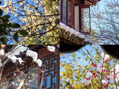 -八大山人梅湖景区