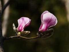 -东华门大街小区