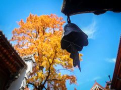 -宜城私房菜.臭鳜鱼(九华新街店)