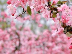 -玄武湖景区-情侣园游乐场