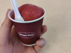 -哈根达斯(绍兴银泰店)
