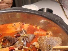 -宽口美蛙鱼头(大唐西市店)