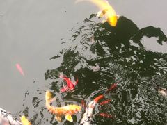 -上海虹桥宾馆(郁锦香品牌酒店)