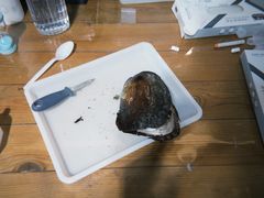 -十八字金·银饰·拼豆·开蚌DIY(魏公芳华里店)