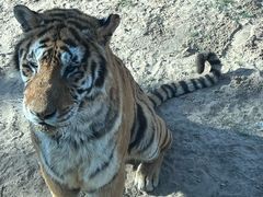 -北京野生动物园