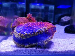 -水上乐园·欢乐世界