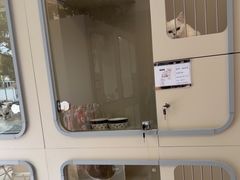 -唐小姐の私宠·宠物洗护美容·撸猫馆·购宠(周浦万达旗舰店)