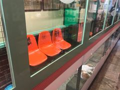 -猫咪博物馆(顶澳仔猫街店)