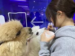 -Blue Concept Cafe&Farm·關於藍