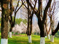 -重庆中央公园(渝北区)