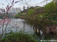 -重庆彩云湖湿地公园