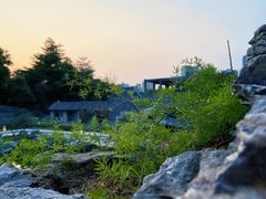 -清湖文化公园