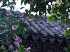 -沧浪亭