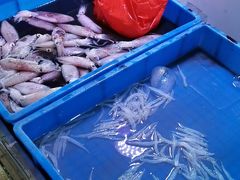 -细村农贸综合市场