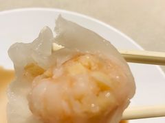 -金鼎轩(方庄天坛店)