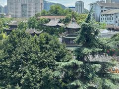 -包整·丝娃娃(一览甲秀楼风景店)