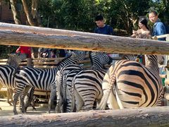 -泉州海丝野生动物世界