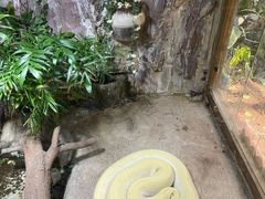 -上海大自然野生昆虫馆