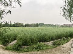 -广富林郊野公园
