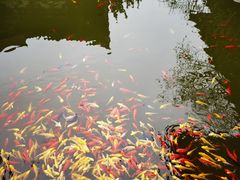 -西安华清御汤酒店