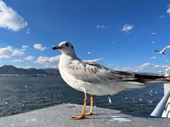 -滇池海埂公园