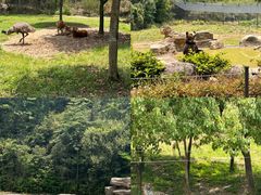 -杭州野生动物世界