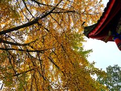 -金堂县云顶石城风景区