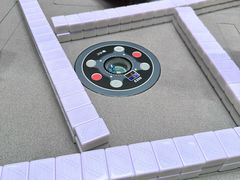 -金色希望596