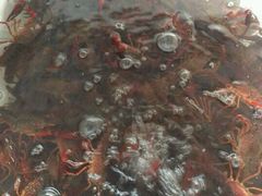 白洋淀的龙虾-鲜鱼居饭店