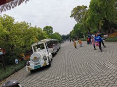 -上海海湾国家森林公园